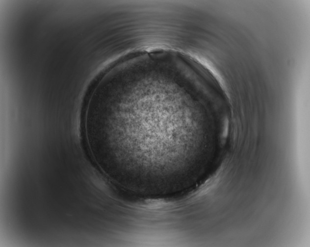 X0000088900391200706081309
