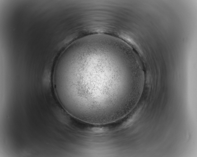 X0000088900394200706081309