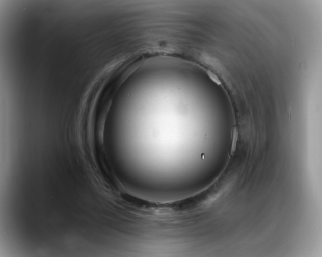 X0000088900395200706081309