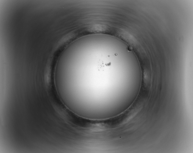 X0000088900396200706081309