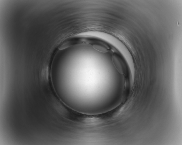 X0000088900397200706081309