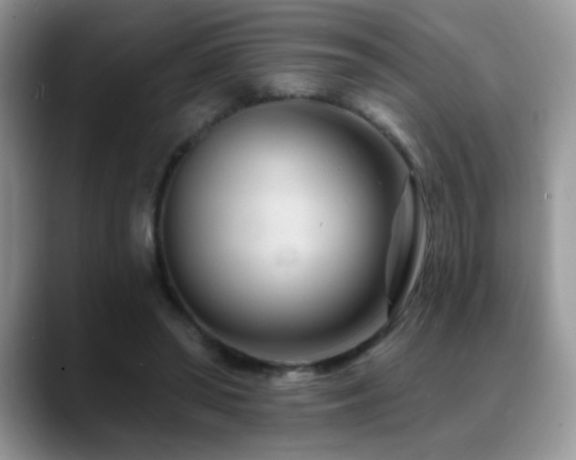X0000088900398200706081309