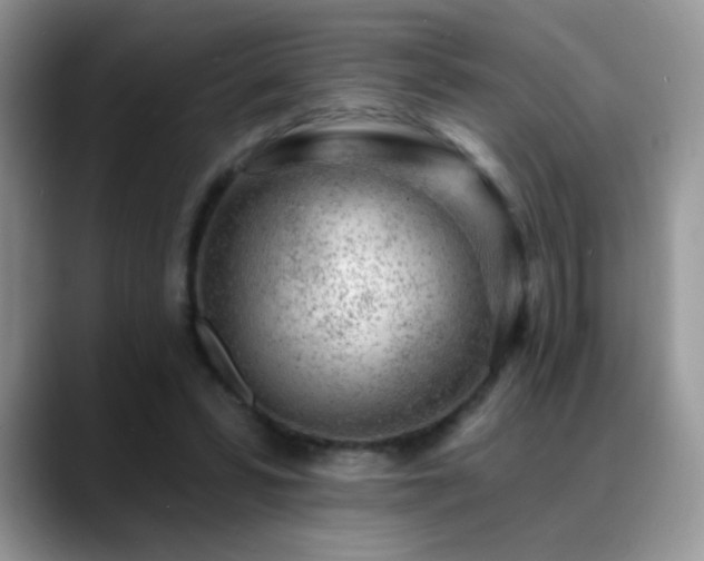 X0000088900399200706081309