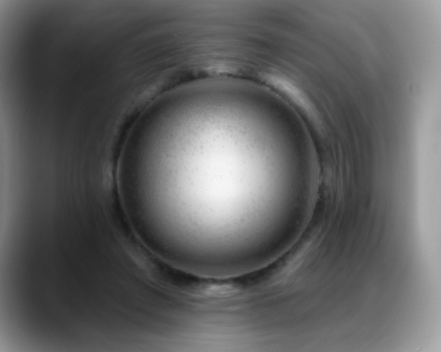 X0000088900401200706081309