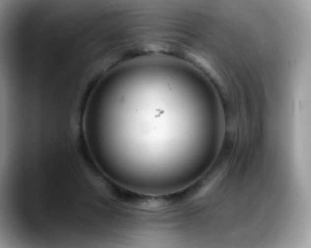 X0000088900402200706081309