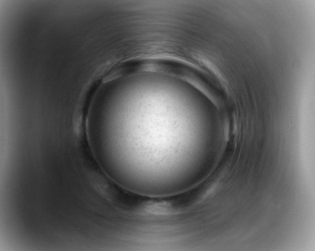X0000088900403200706081309