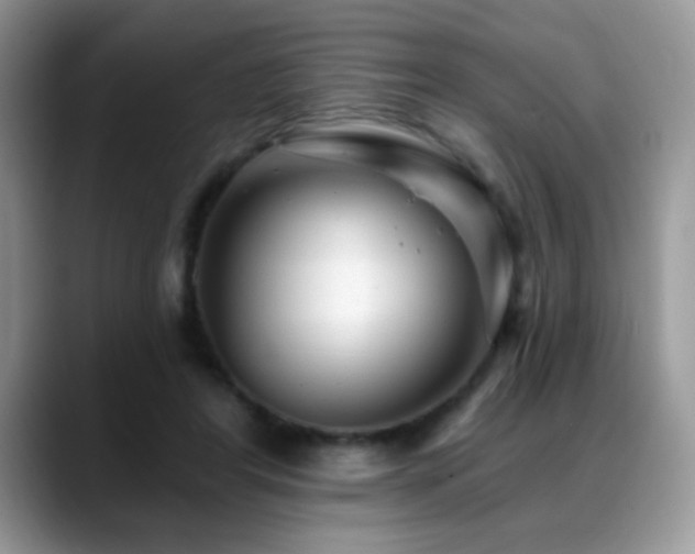 X0000088900404200706081309
