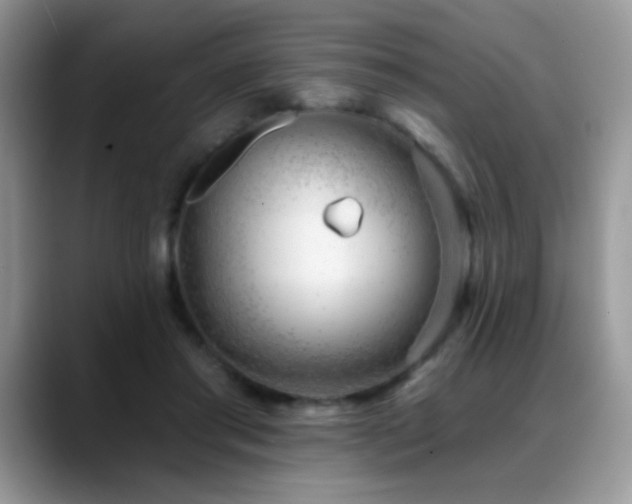 X0000088900405200706081309