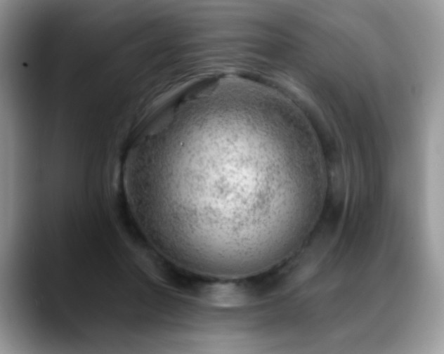 X0000088900406200706081309