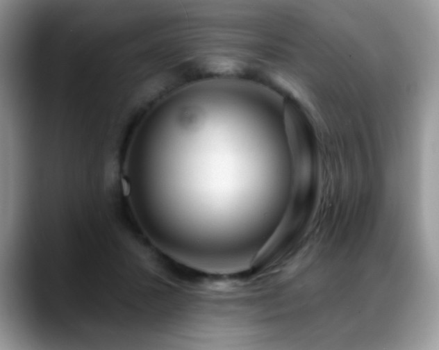 X0000088900407200706081309