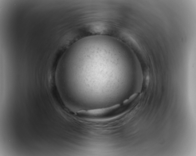 X0000088900408200706081309