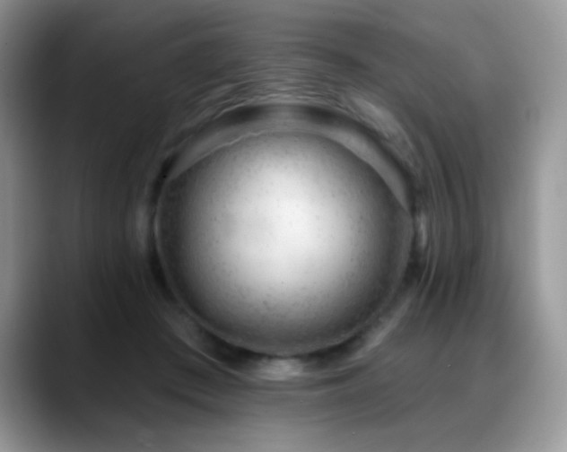 X0000088900409200706081309