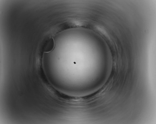 X0000088900410200706081309