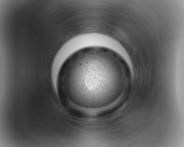 X0000088900412200706081309
