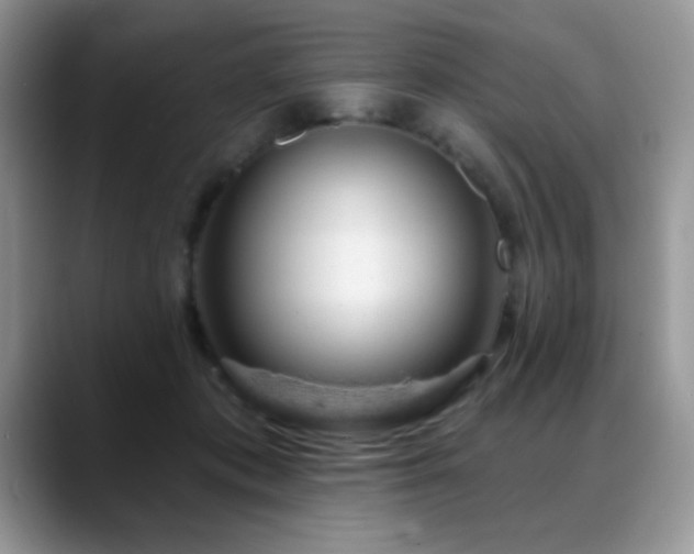 X0000088900413200706081309
