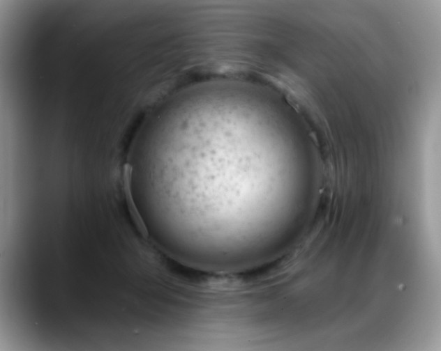 X0000088900415200706081309