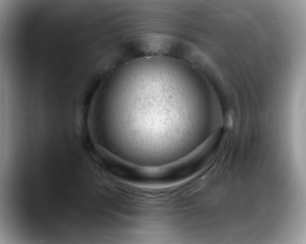 X0000088900416200706081309