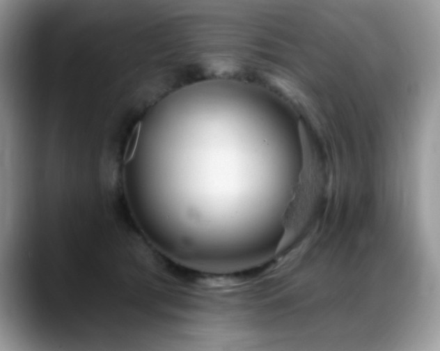 X0000088900417200706081309