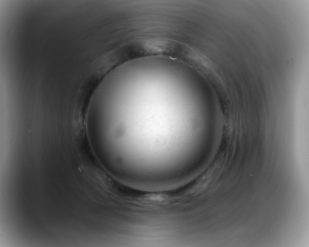 X0000088900418200706081309