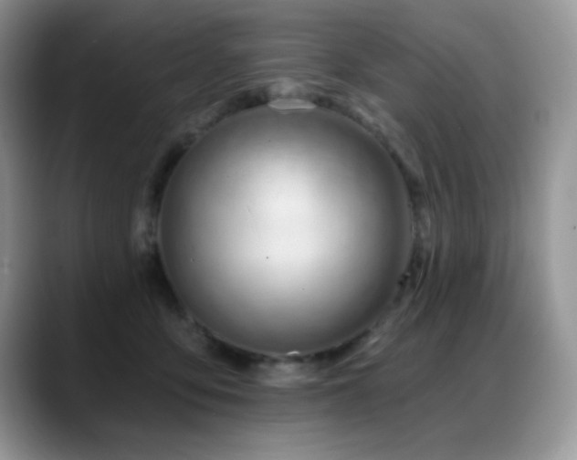 X0000088900419200706081309