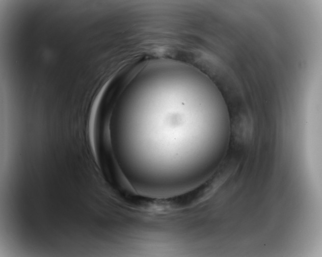 X0000088900420200706081309