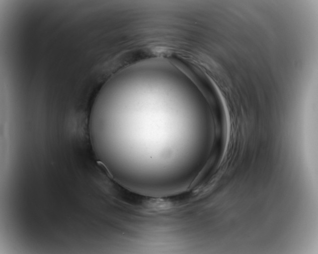 X0000088900421200706081309
