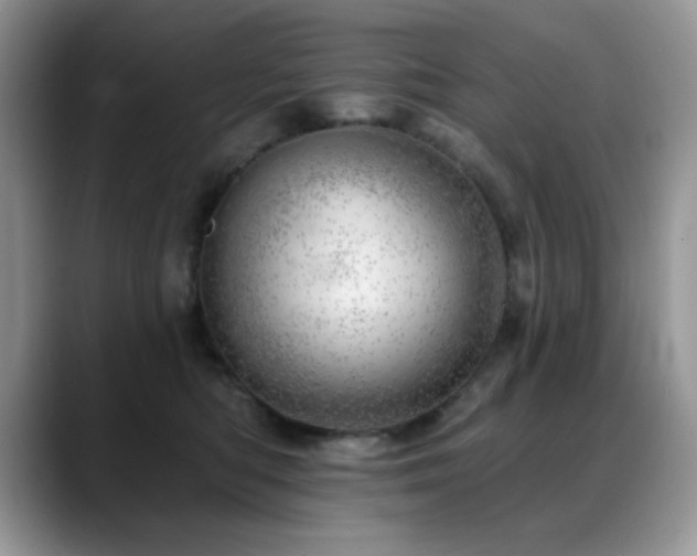 X0000088900422200706081309
