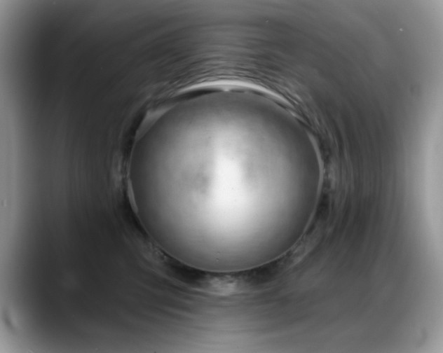 X0000088900423200706081309