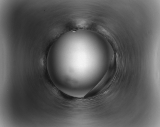 X0000088900424200706081309