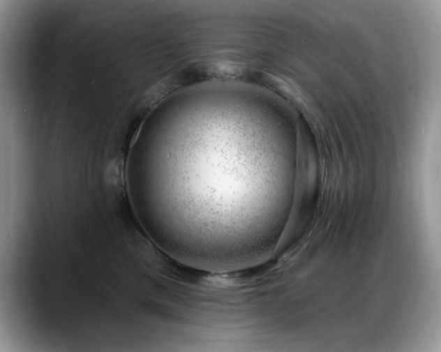 X0000088900425200706081309