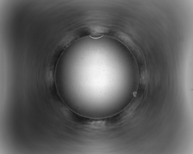 X0000088900426200706081309