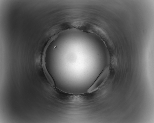X0000088900428200706081309