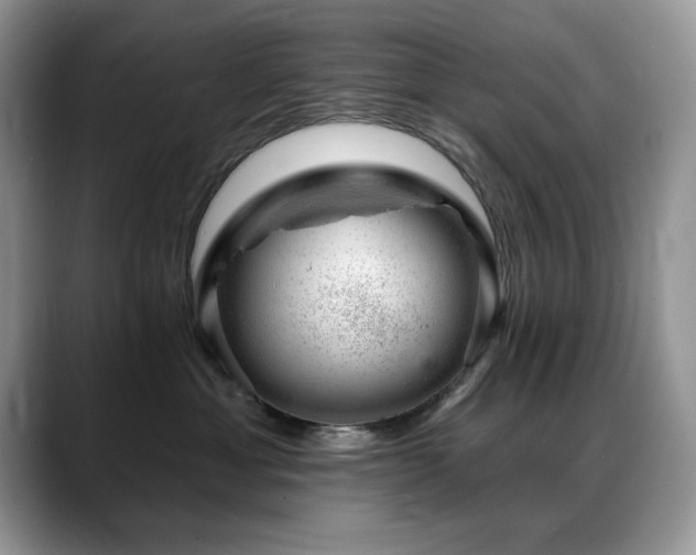 X0000088900429200706081309