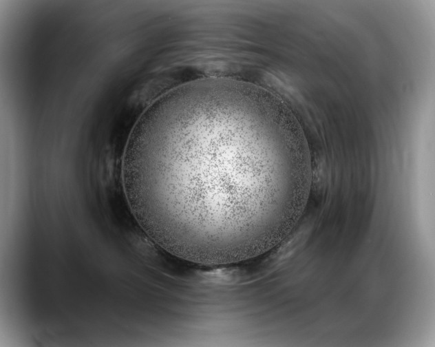 X0000088900430200706081309
