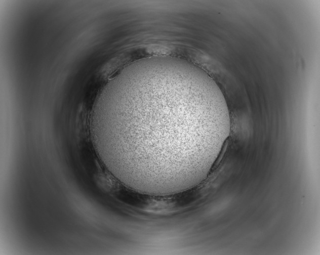 X0000088900431200706081309