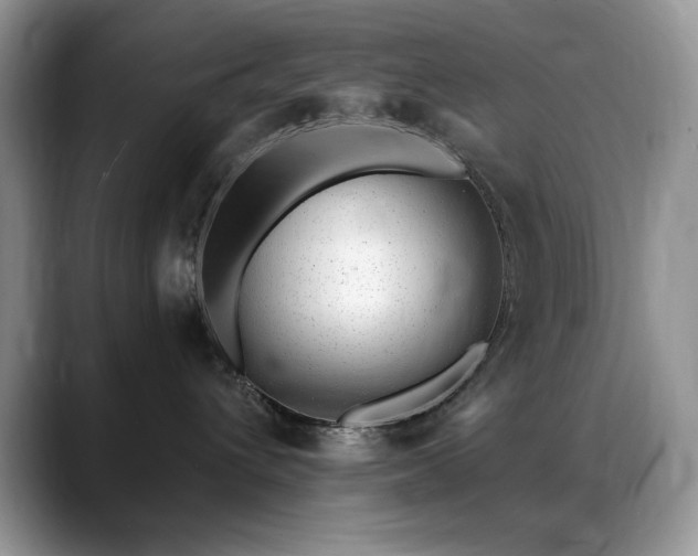 X0000088900432200706081309