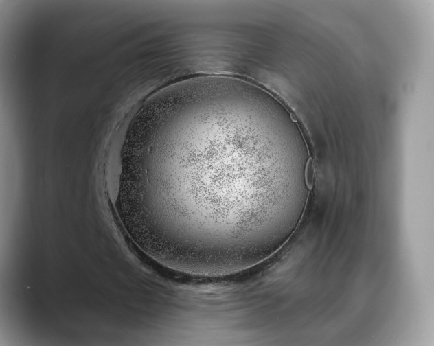 X0000088900433200706081308