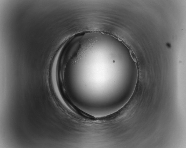 X0000088900434200706081308