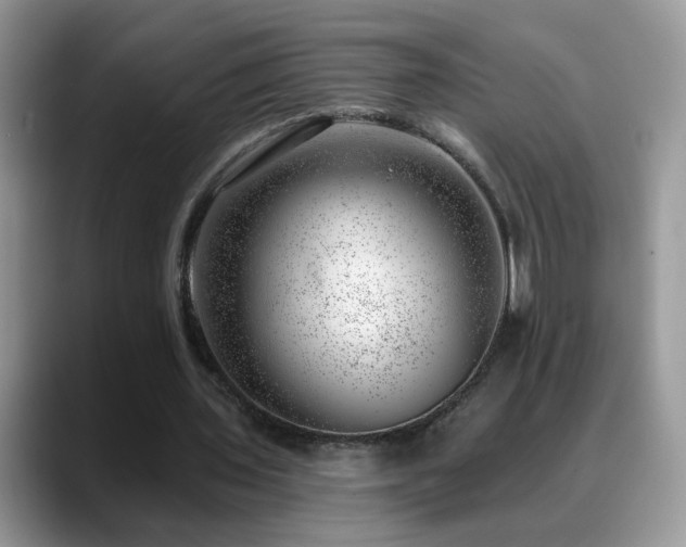 X0000088900435200706081308