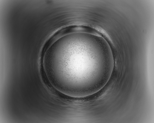 X0000088900436200706081308