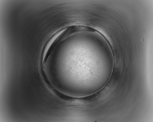 X0000088900437200706081308