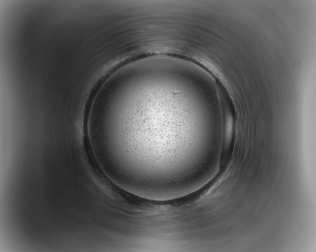 X0000088900438200706081309