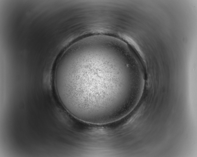 X0000088900439200706081309