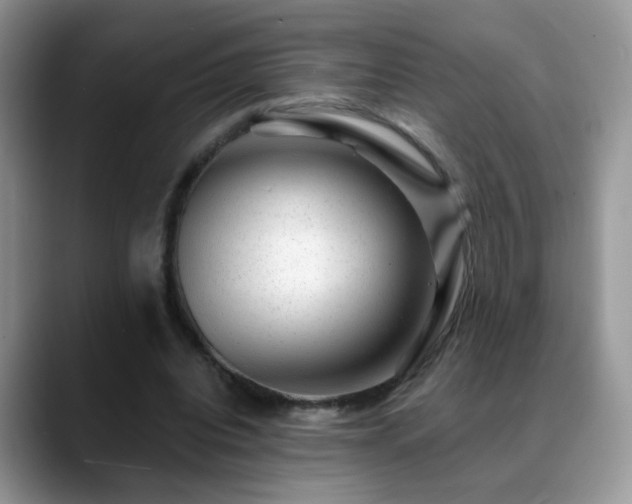 X0000088900440200706081309