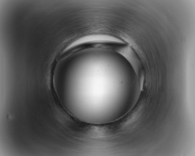 X0000088900442200706081309