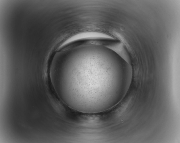 X0000088900443200706081309