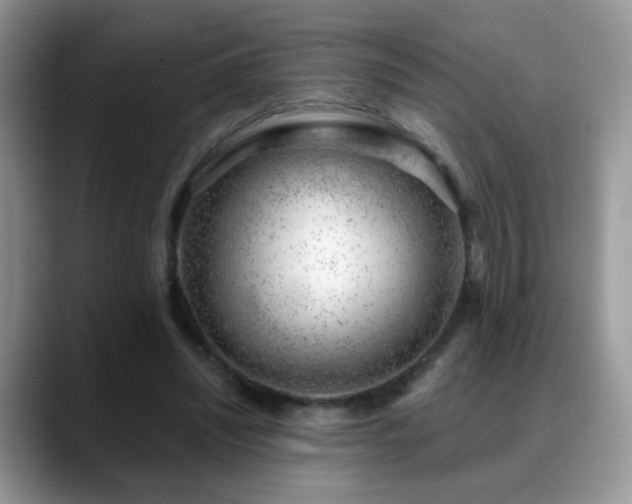 X0000088900444200706081309