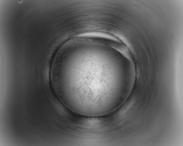 X0000088900445200706081309