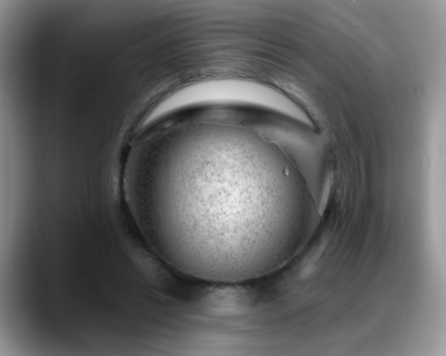 X0000088900446200706081309