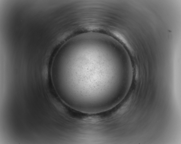 X0000088900447200706081309